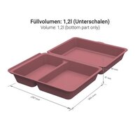 Menübox ToGo large