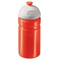 Trinkflasche Champion 055 l