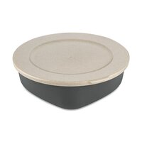nature ash grey