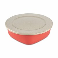 nature coral
