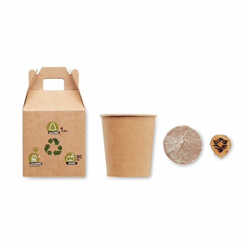 GROWTREE™ Kiefernsamen-Set