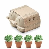 CRESS SaatSet Kresse
