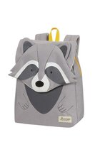 racoon remy